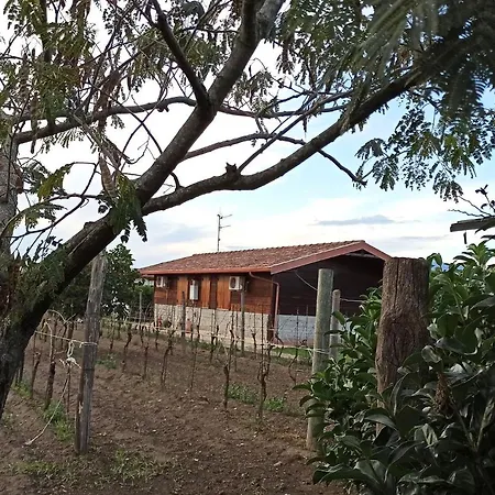Vakantieboerderij Borgo Baldassarre